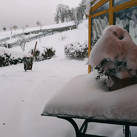 Landhaus Seiffen * זיפן