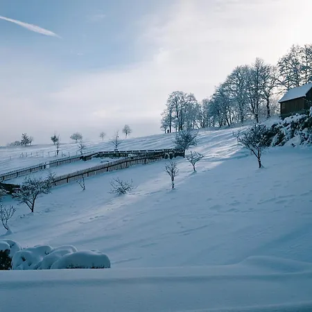 בית נופש Landhaus Seiffen