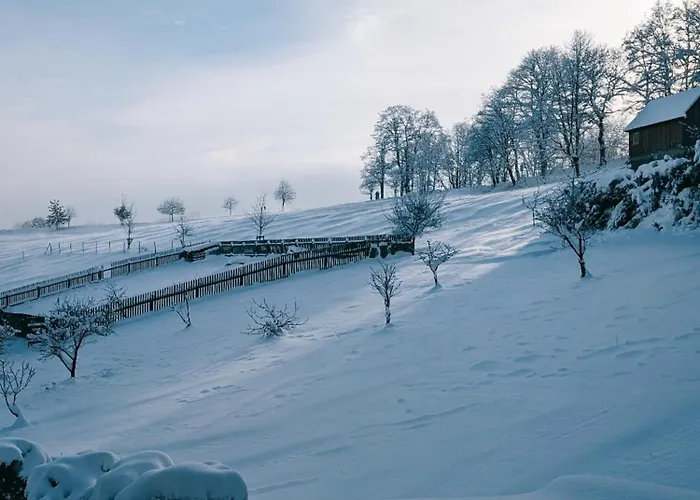 بيت للعطل Landhaus Seiffen